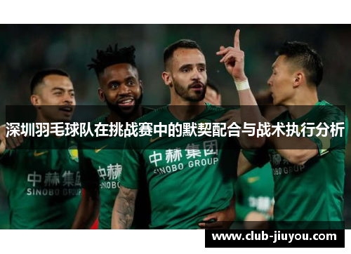 深圳羽毛球队在挑战赛中的默契配合与战术执行分析