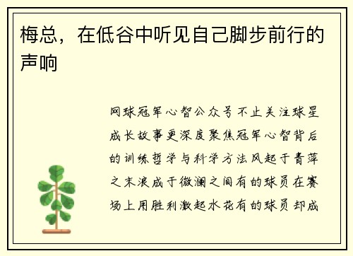 梅总，在低谷中听见自己脚步前行的声响